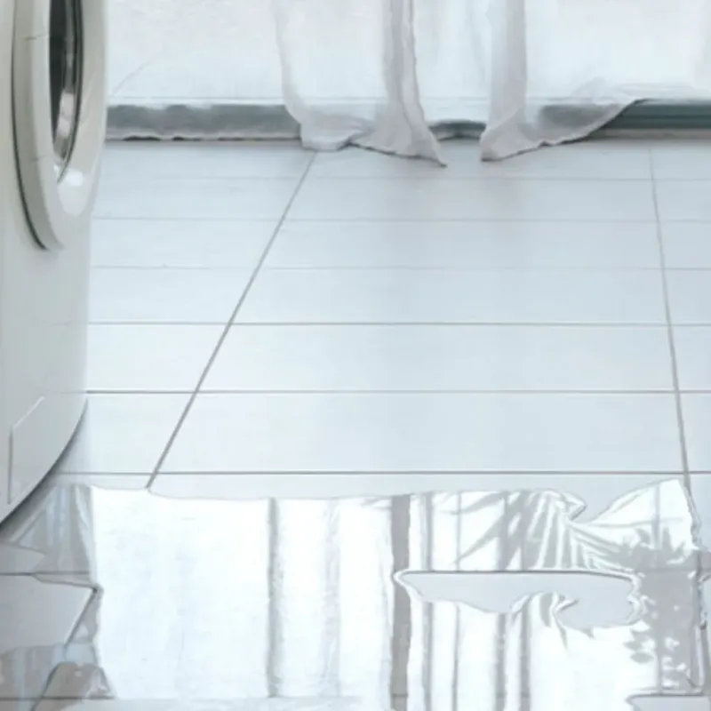 Appliance Leak Cleanup in Sherman Oaks, CA
