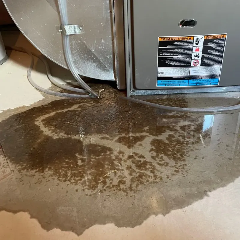 Pipe Burst and Leak Restoration in Sherman Oaks, CA